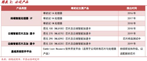 寒武紀 AI芯片獨角獸的突圍之路與工業互聯網數據服務的新航向